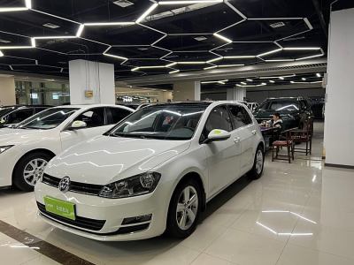 2015年8月 大眾 高爾夫 1.6L 自動(dòng)舒適型圖片