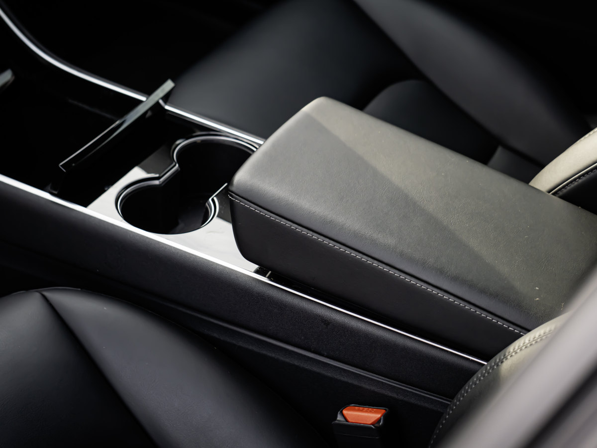 特斯拉 Model 3  2020款 改款 標(biāo)準(zhǔn)續(xù)航后驅(qū)升級(jí)版圖片