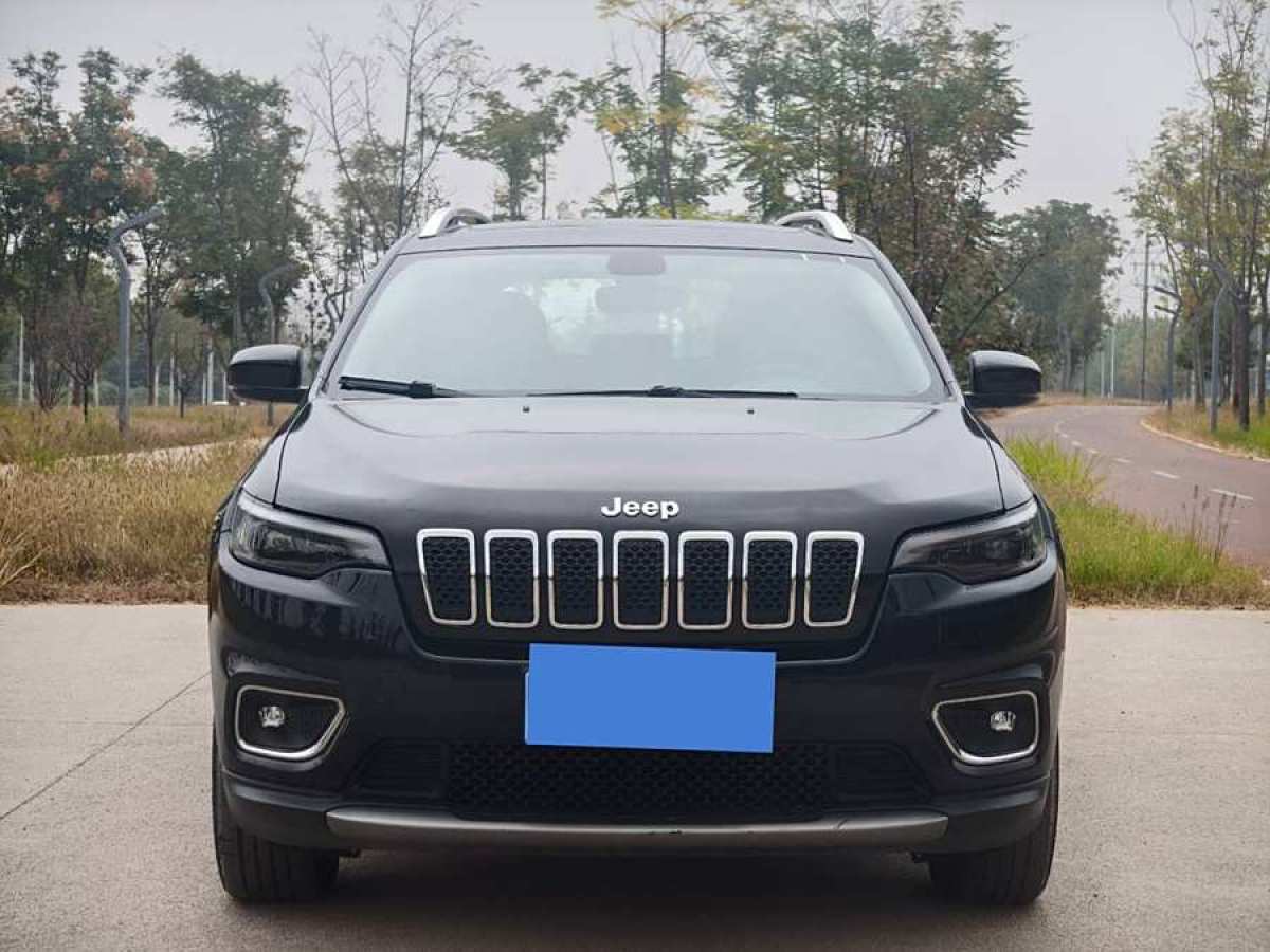 2020年3月Jeep 自由光  2020款 2.0T 兩驅(qū)領(lǐng)先版