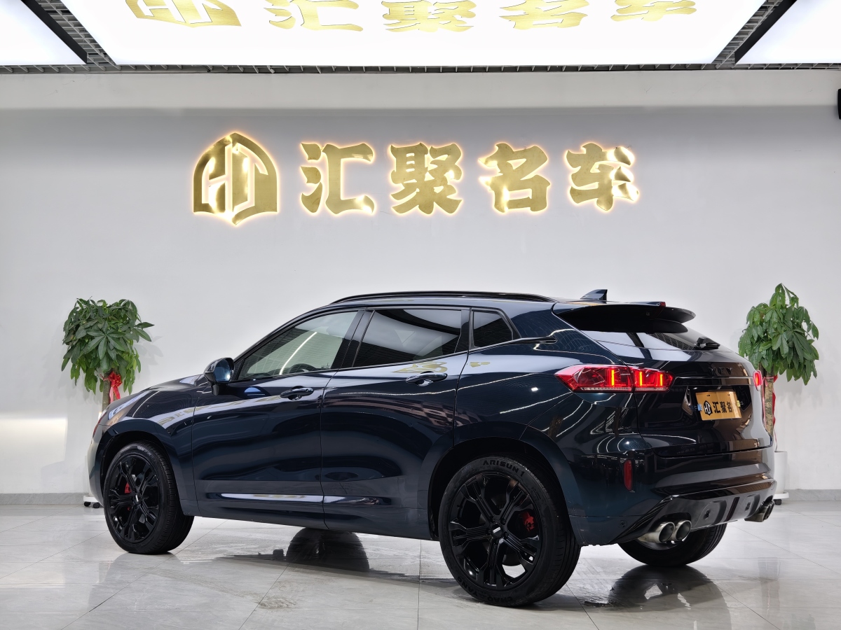 WEY VV7  2019款 升級(jí)款 2.0T 旗艦型圖片