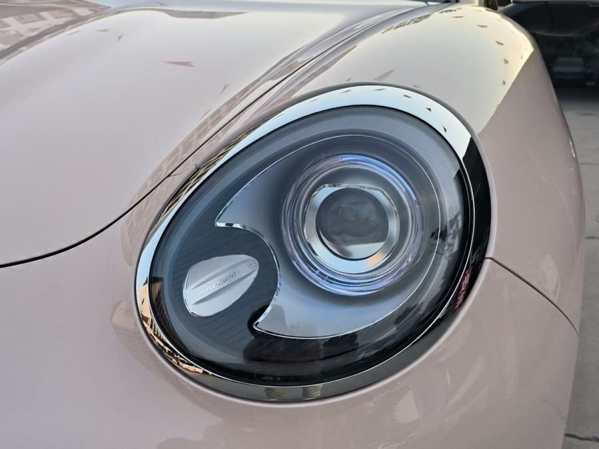 歐拉 歐拉好貓  2024款 401km 豪華型圖片