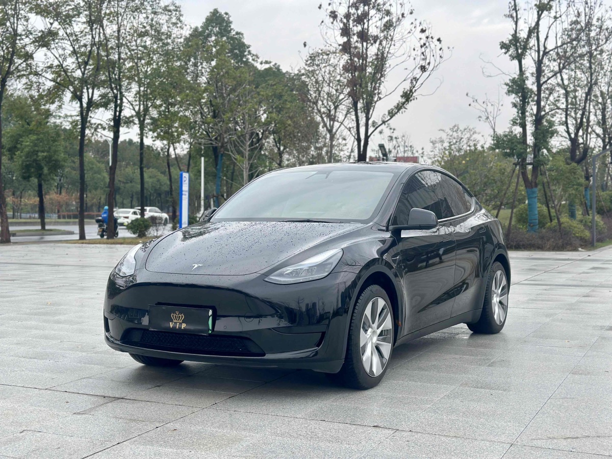 特斯拉 Model 3  2022款 后輪驅(qū)動(dòng)版圖片