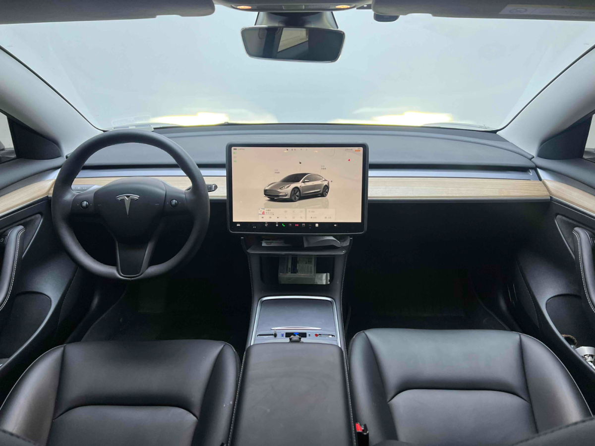 特斯拉 Model 3  2019款 Performance高性能全轮驱动版图片