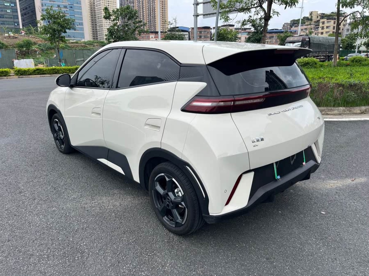 比亞迪 海鷗  2023款 自由版圖片