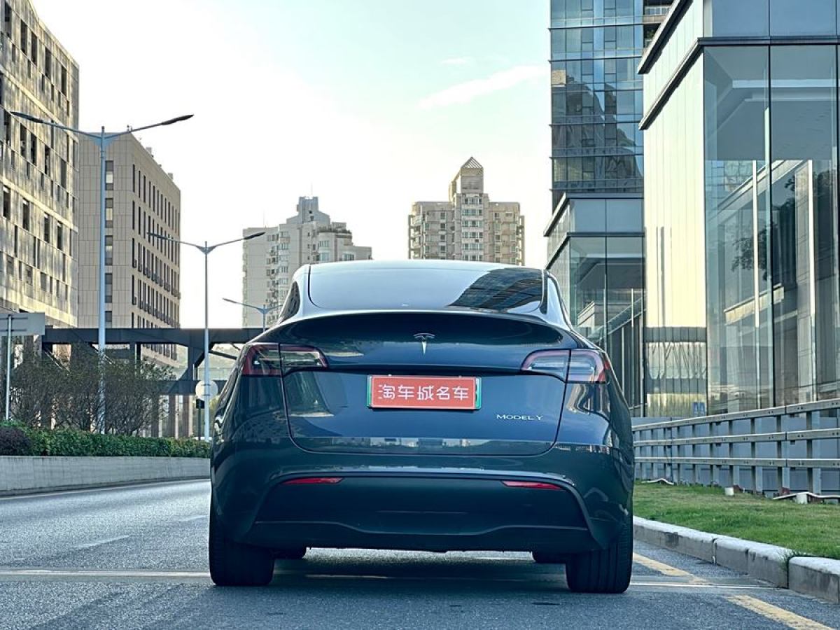 特斯拉 Model 3  2020款 改款 長續(xù)航后輪驅(qū)動版圖片