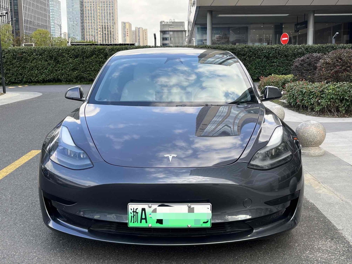 特斯拉 Model 3  2019款 標準續(xù)航后驅(qū)升級版圖片