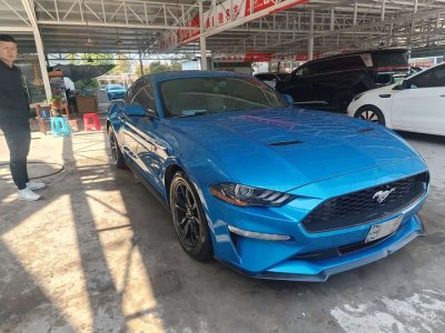 2019年7月 福特 Mustang(進口) 2.3L EcoBoost圖片