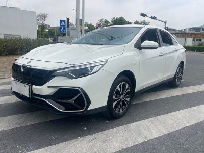 2020年10月 啟辰 D60EV 高續(xù)航尊享版圖片