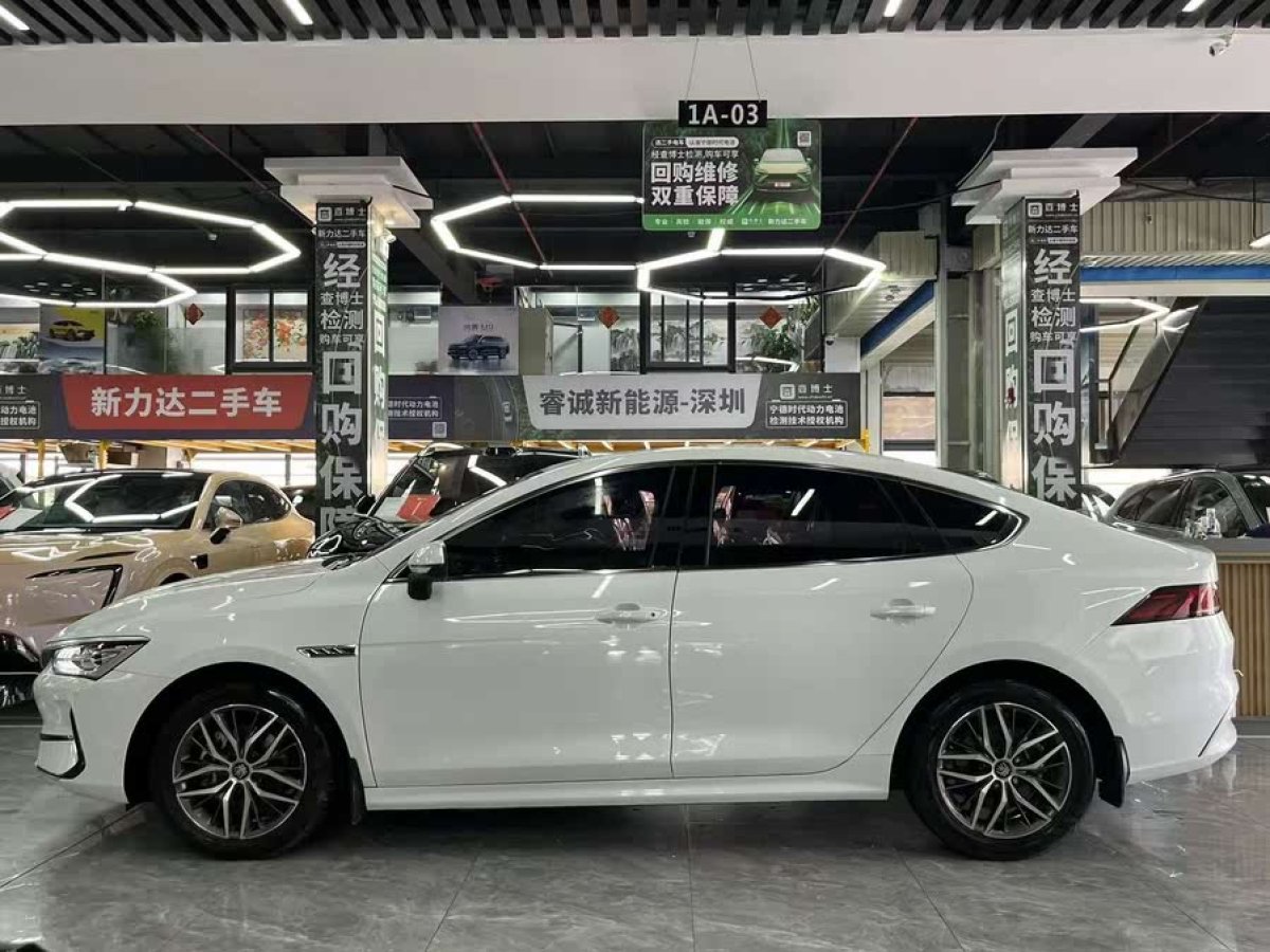 比亞迪 秦PLUS  2021款 EV 500KM 豪華型圖片