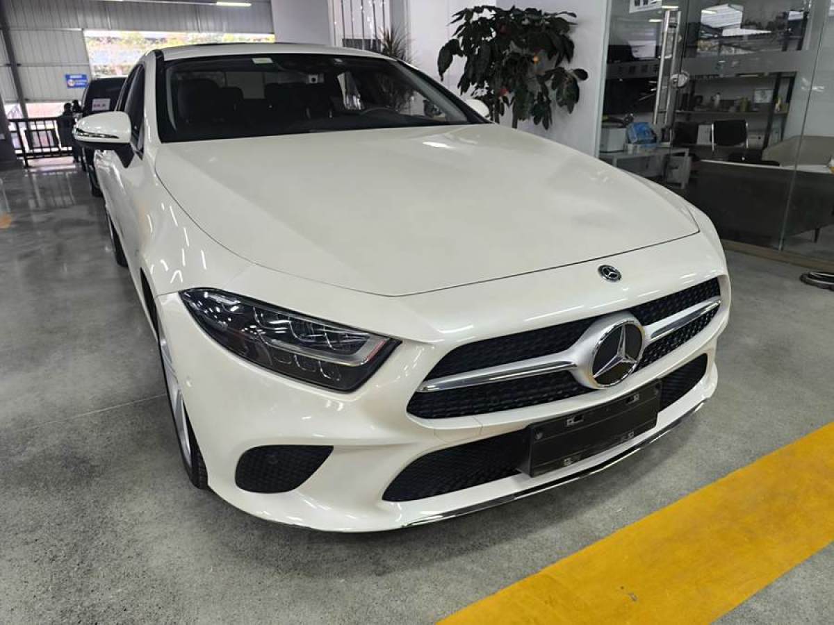 奔馳 奔馳CLS級  2018款 CLS 300 動感型圖片