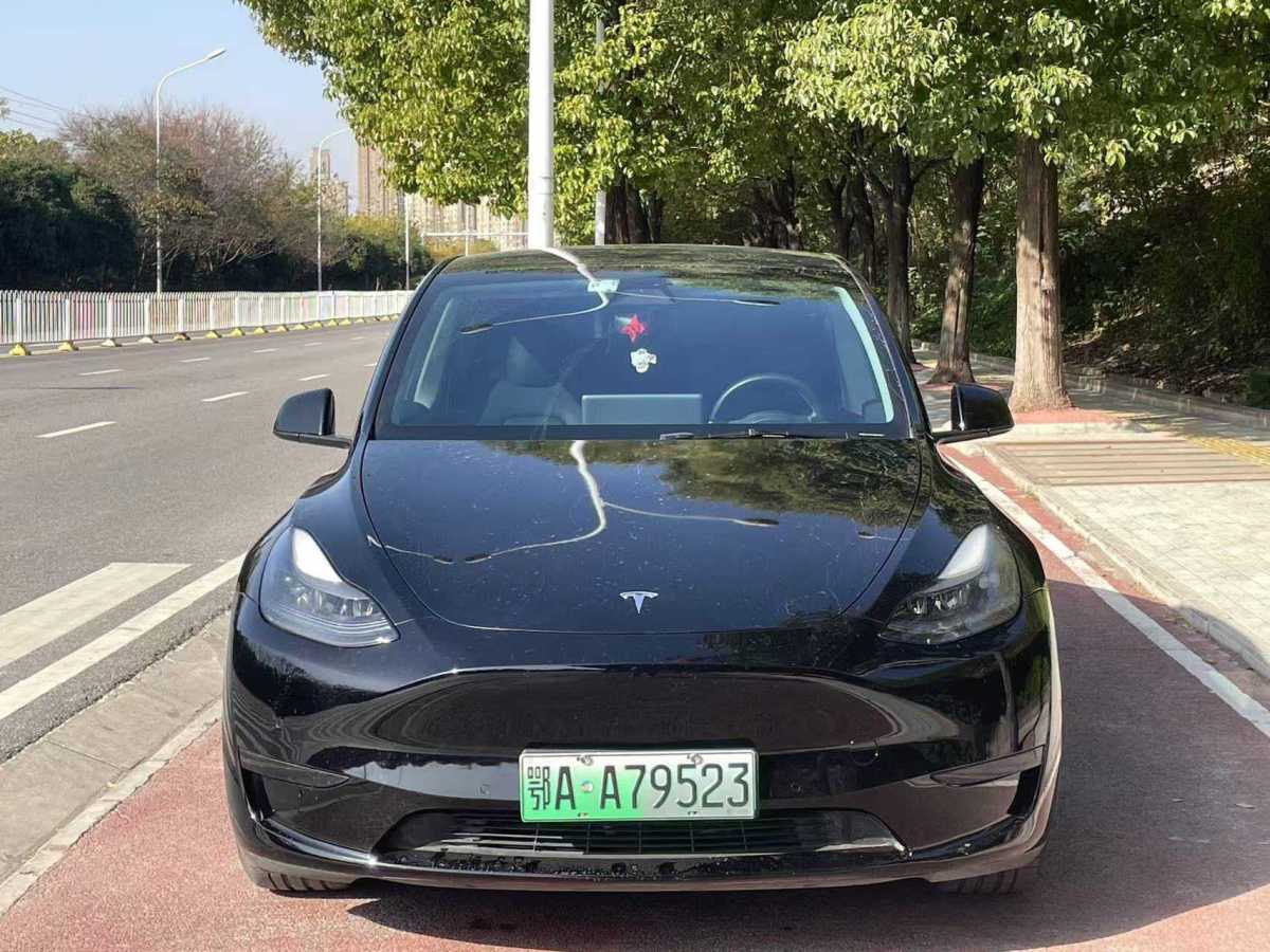 特斯拉 Model 3  2022款 后輪驅動版圖片