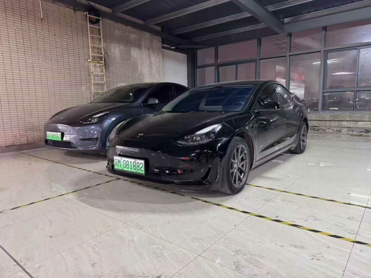 特斯拉 Model 3  2022款 Performance高性能全輪驅(qū)動(dòng)版圖片