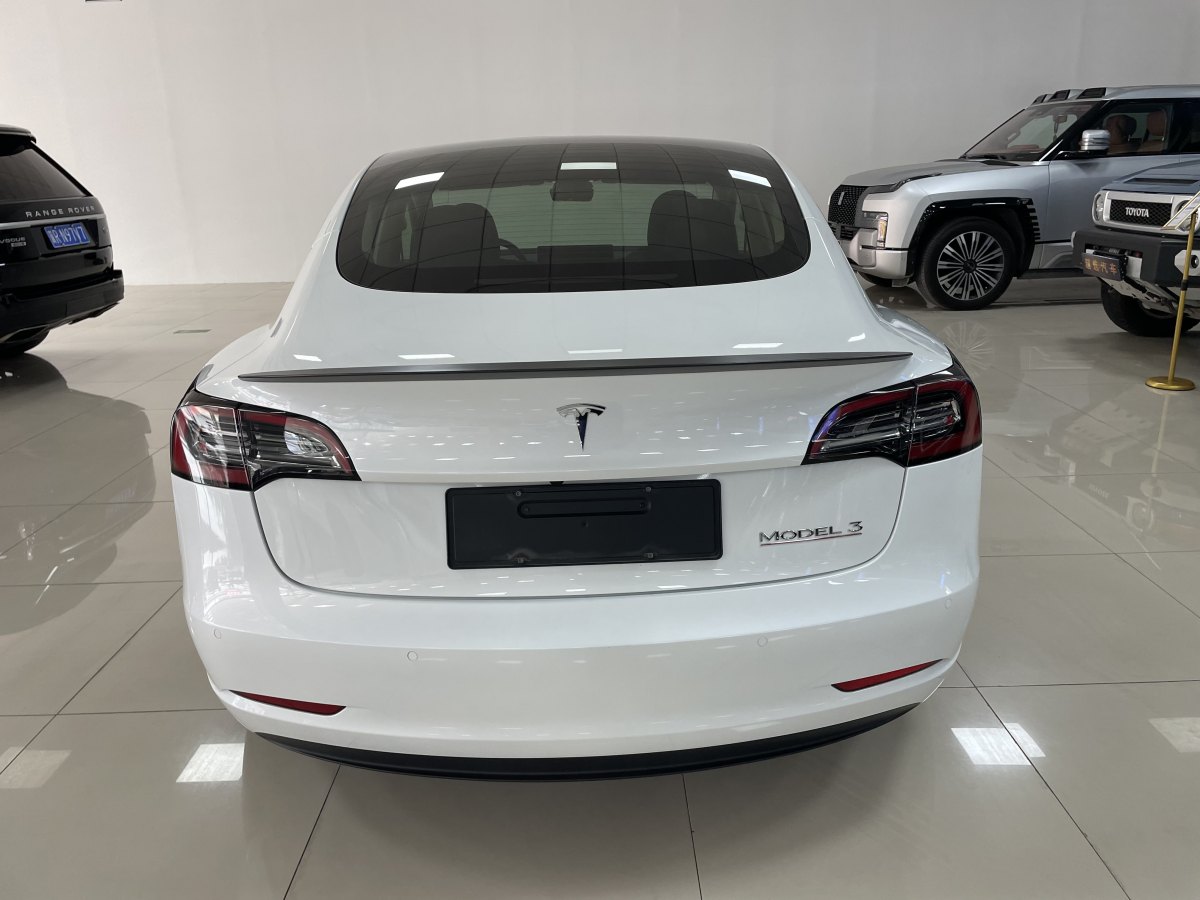 特斯拉 Model 3  2019款 Performance高性能全輪驅(qū)動(dòng)版圖片