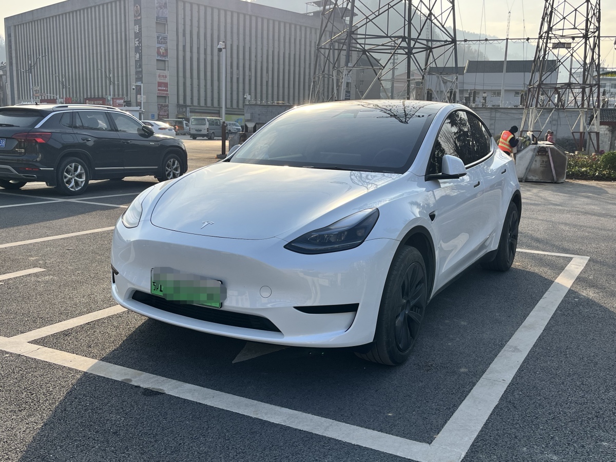 特斯拉 Model 3  2020款 改款 長(zhǎng)續(xù)航后輪驅(qū)動(dòng)版圖片