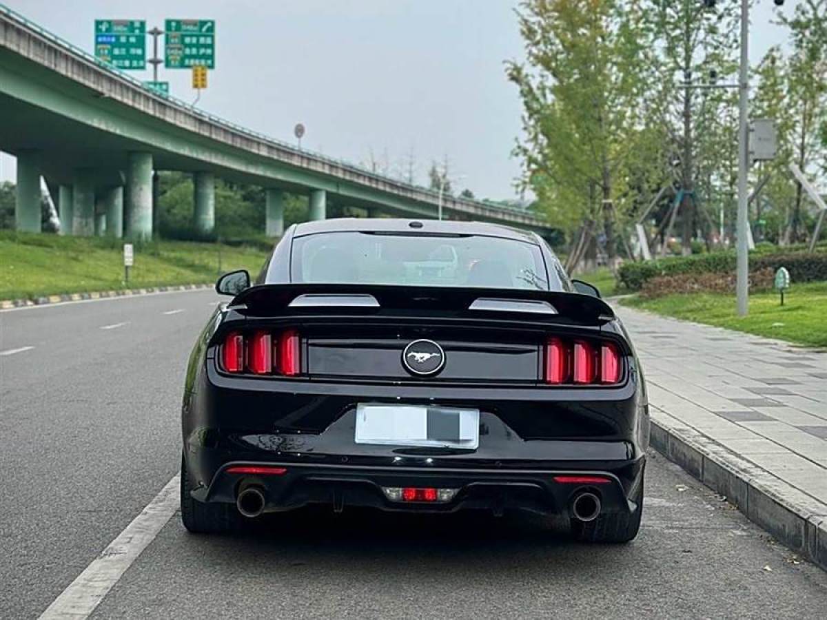 福特 Mustang  2015款 2.3T 性能版圖片