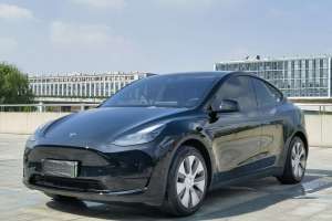 Model Y 特斯拉 改款 标准续航后驱升级版