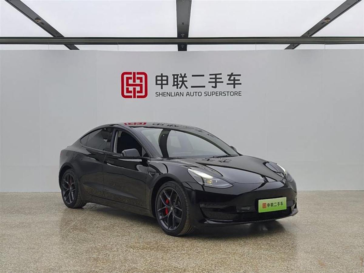 特斯拉 Model 3  2021款 改款二 Performance高性能全輪驅(qū)動版圖片