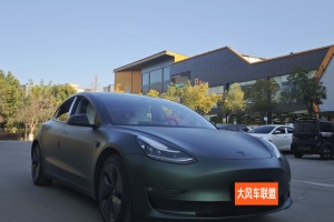 Model 3 特斯拉 改款 長續(xù)航后輪驅(qū)動版