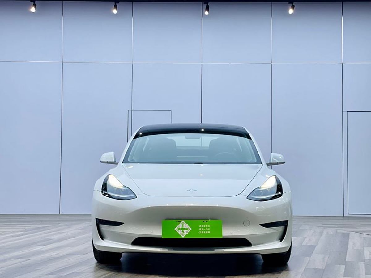 特斯拉 Model 3  2020款 改款 長(zhǎng)續(xù)航后輪驅(qū)動(dòng)版圖片