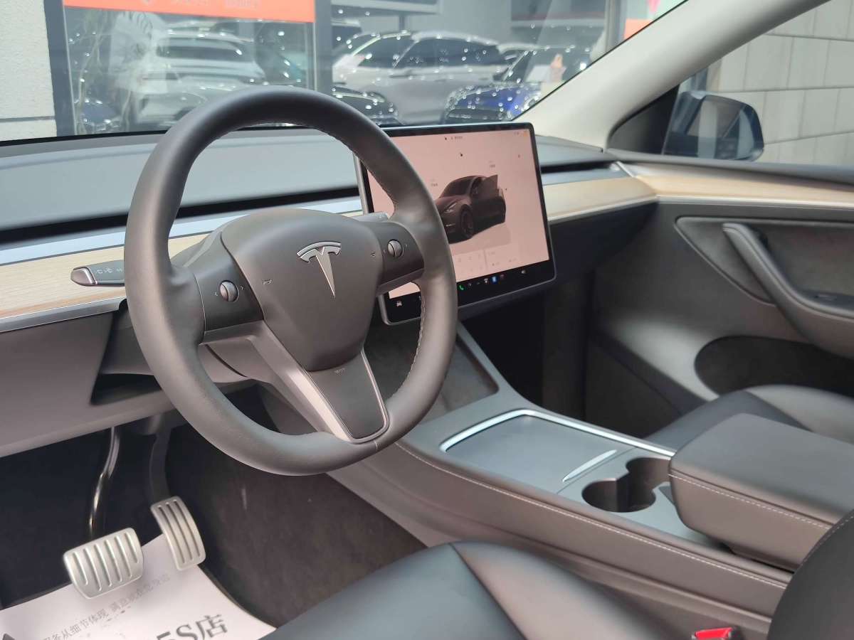 特斯拉 Model Y  2022款 Performance高性能全輪驅(qū)動版圖片