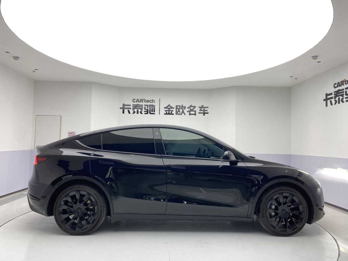 特斯拉 Model Y  2020款 改款 長(zhǎng)續(xù)航后輪驅(qū)動(dòng)版圖片