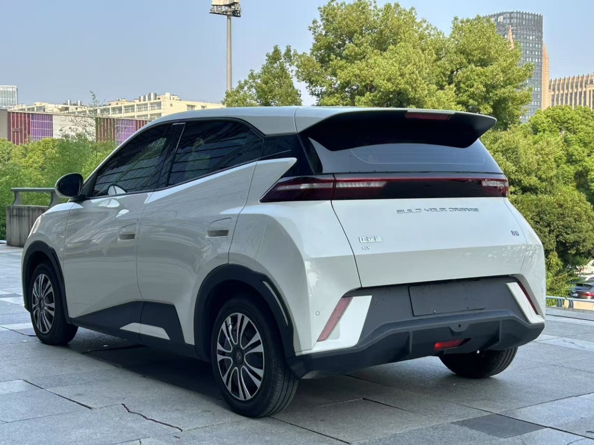 比亞迪 海鷗  2024款 榮耀版 305km 活力版圖片