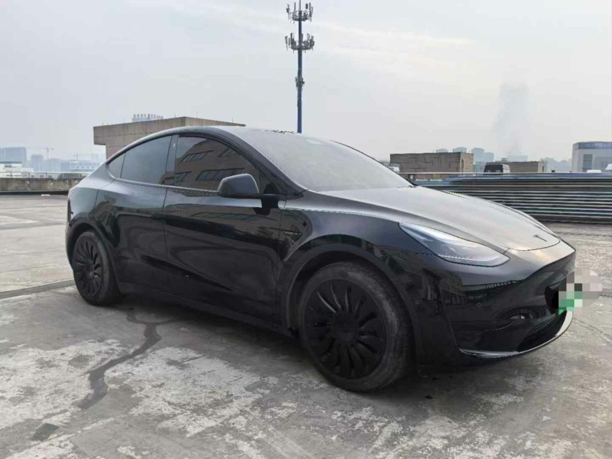 特斯拉 Model 3  2022款 Performance高性能全輪驅(qū)動版圖片