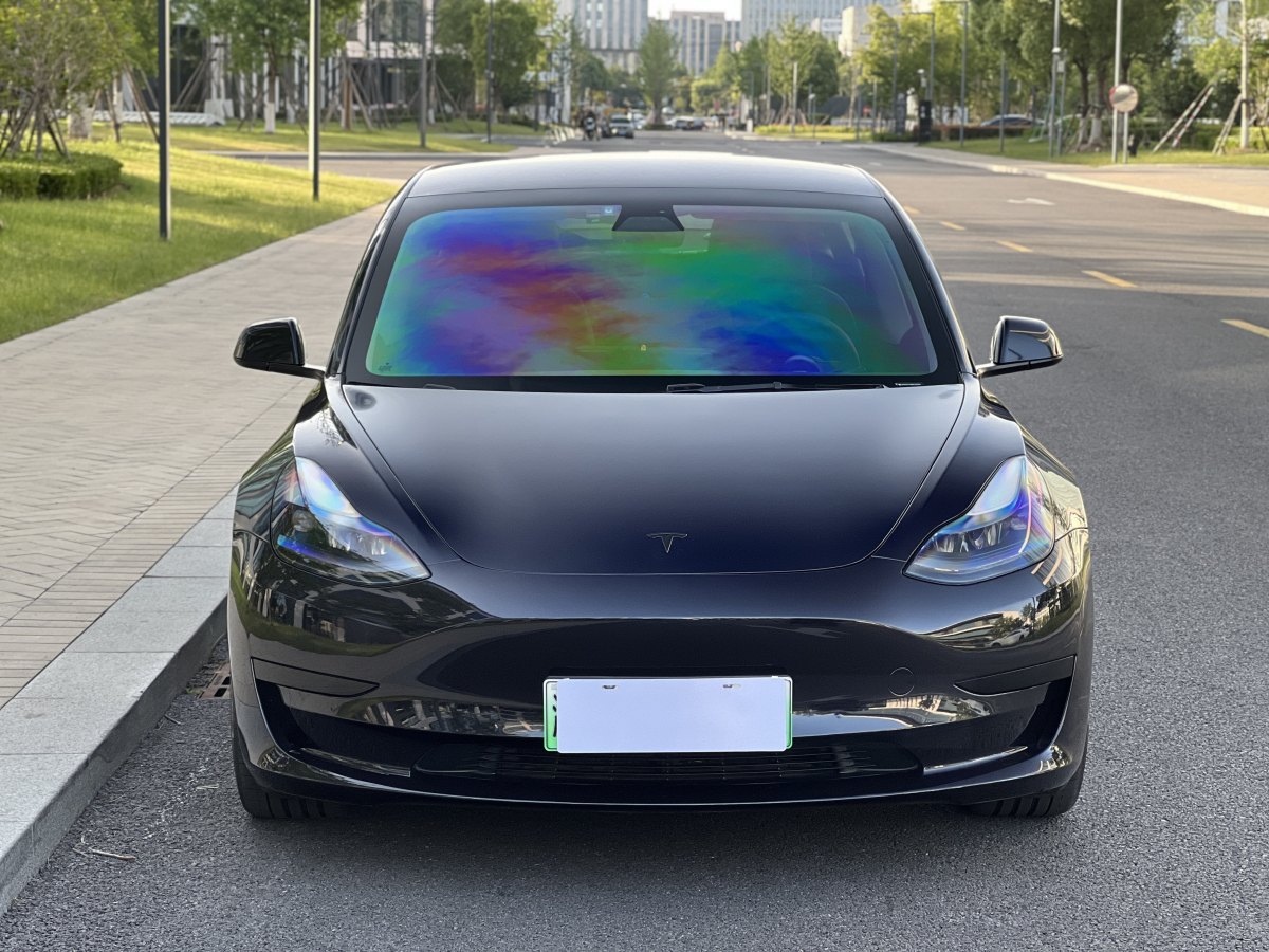 特斯拉 Model 3  2021款 改款 標準續(xù)航后驅(qū)升級版圖片