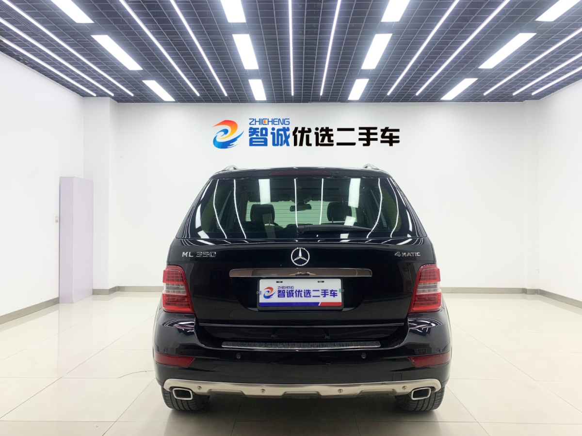 奔馳 奔馳M級  2010款 ML 350 4MATIC豪華型圖片