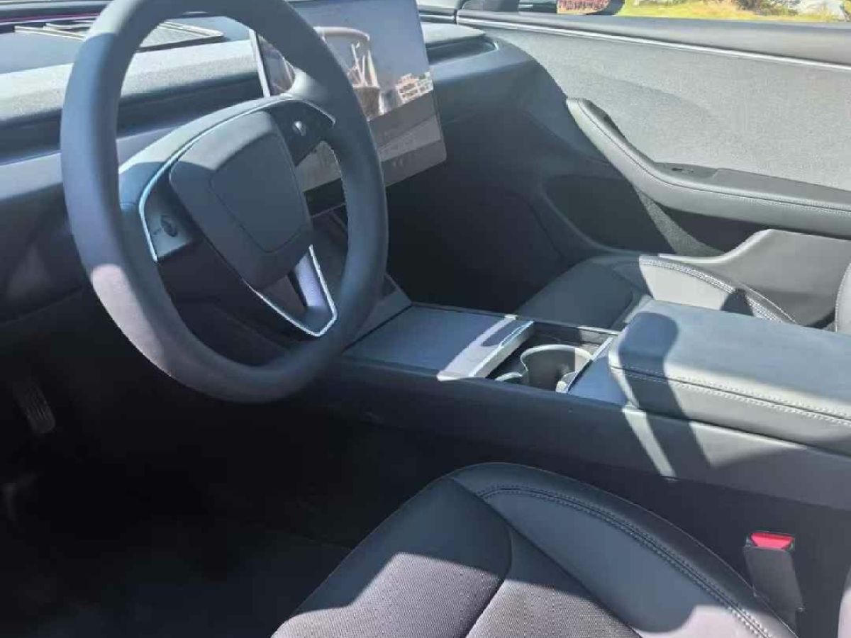 特斯拉 Model Y  2024款 Performance高性能版圖片