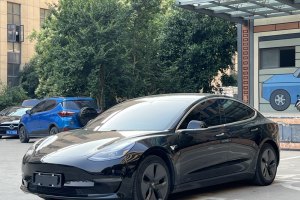 Model 3 特斯拉 改款 長續(xù)航后輪驅(qū)動版