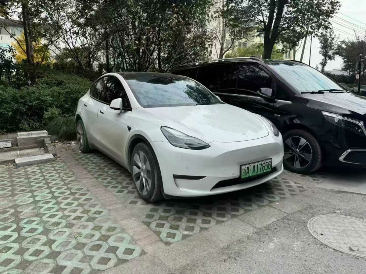 特斯拉 Model 3  2022款 Performance高性能全輪驅(qū)動(dòng)版圖片