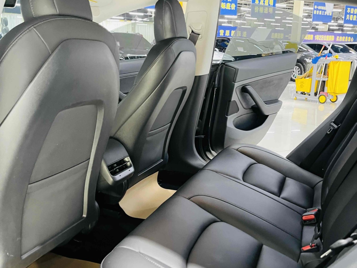 2020年12月特斯拉 Model 3  2020款 改款 標(biāo)準(zhǔn)續(xù)航后驅(qū)升級(jí)版