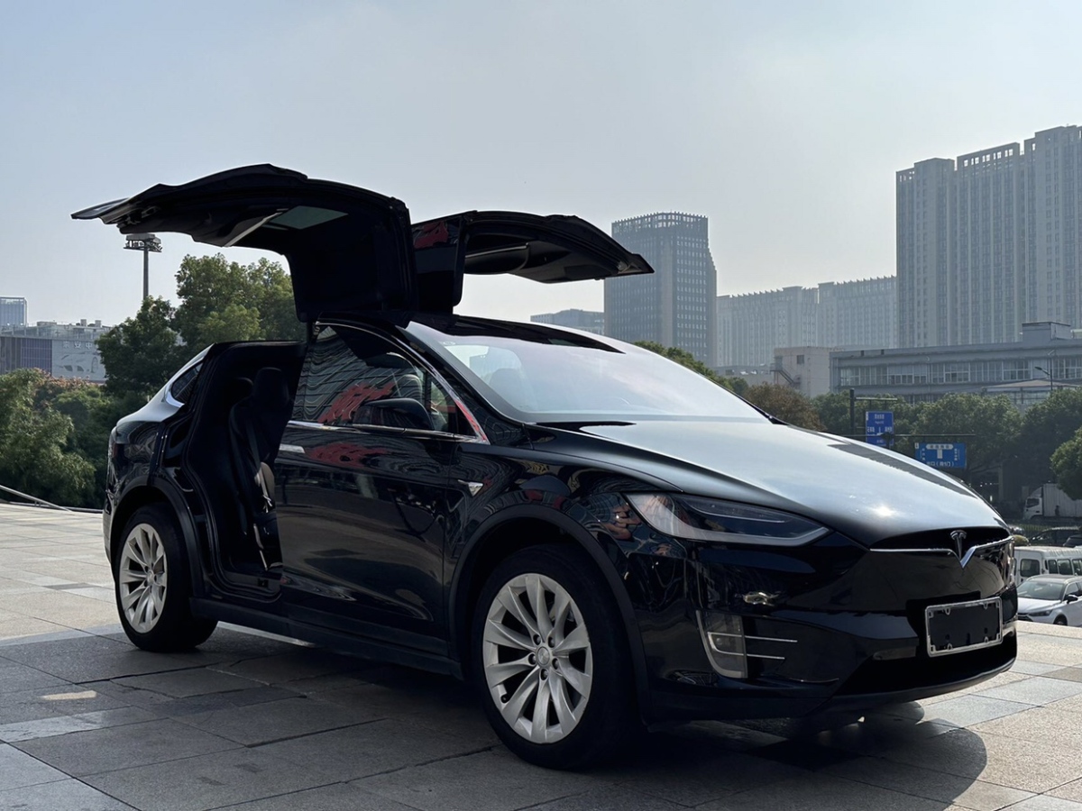 特斯拉 Model X  2016款 Model X 75D圖片