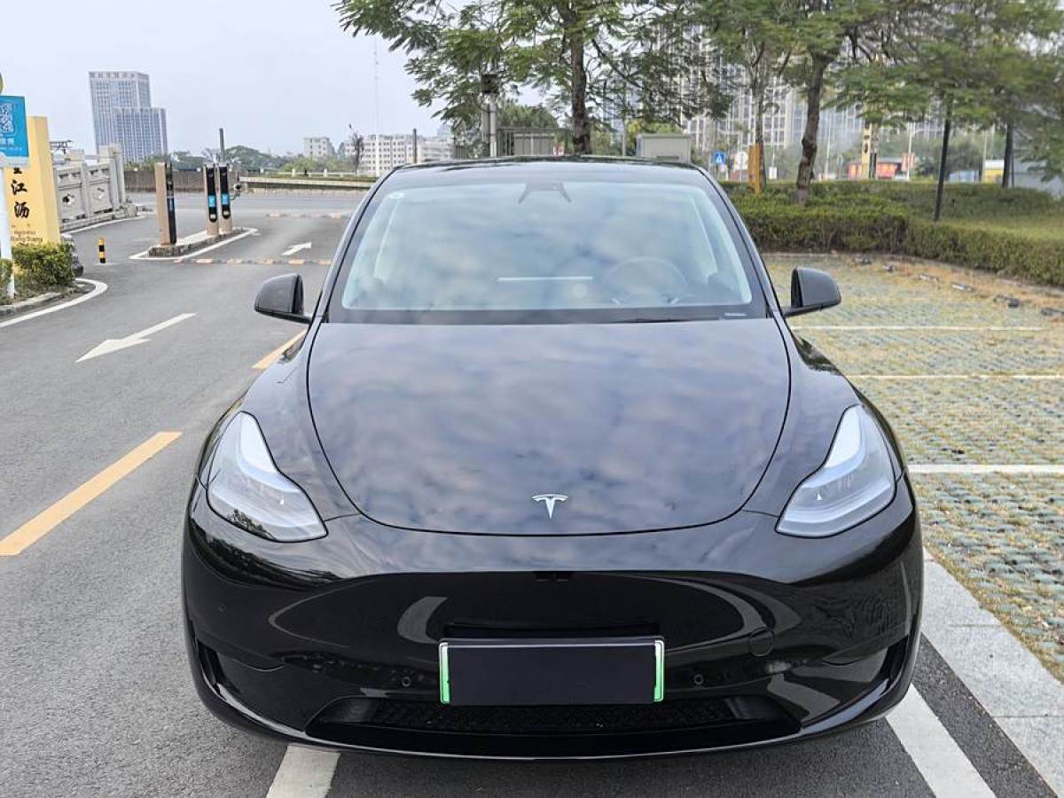 特斯拉 Model 3  2020款 改款 長(zhǎng)續(xù)航后輪驅(qū)動(dòng)版圖片