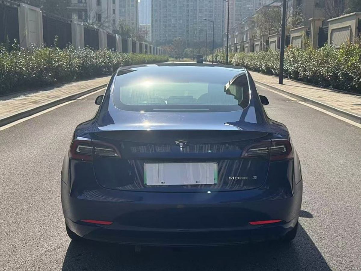 特斯拉 Model 3  2020款 改款 標準續(xù)航后驅升級版圖片