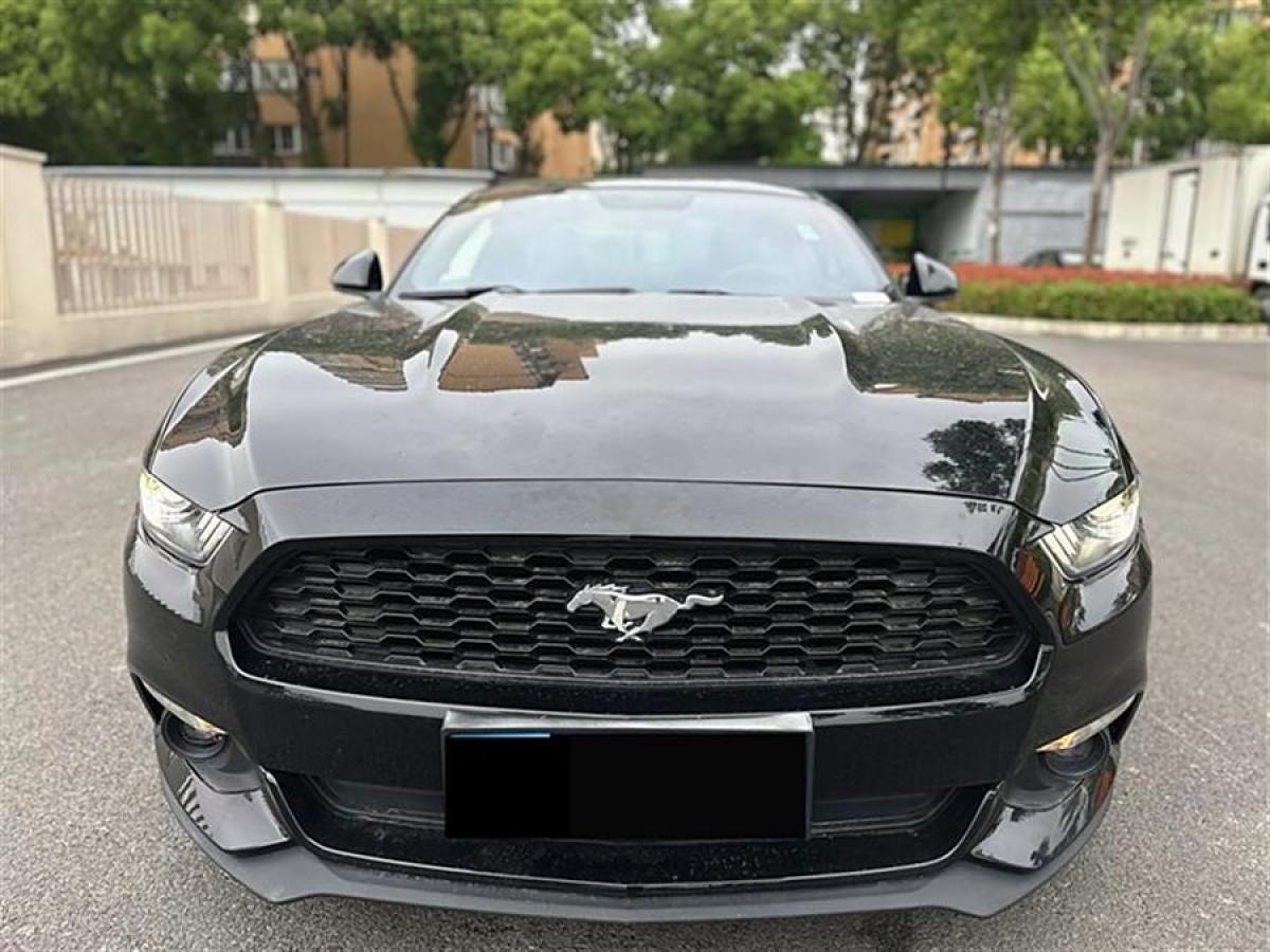 福特 Mustang  2015款 2.3T 性能版圖片