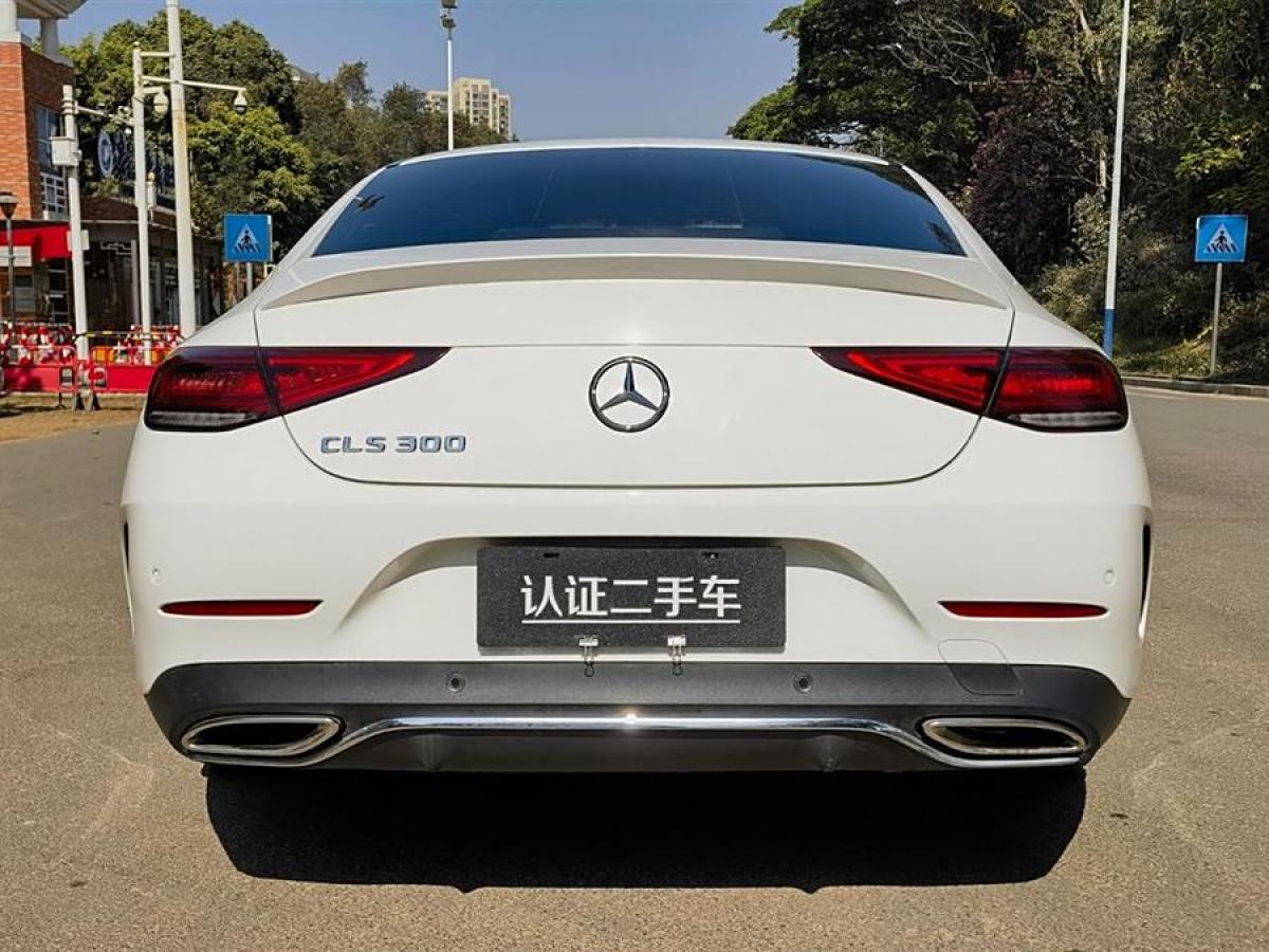 奔馳 奔馳CLS級(jí)  2021款 改款 CLS 300 豪華型圖片