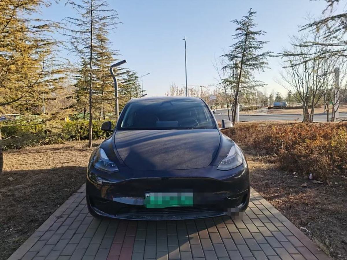 特斯拉 Model 3  2020款 改款 長續(xù)航后輪驅動版圖片