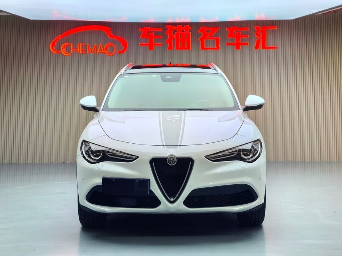 2020年7月阿尔法·罗密欧 Stelvio  2020款 2.0T 280HP 赛道限量版