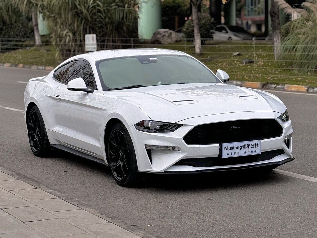 福特 Mustang  2019款 2.3L EcoBoost圖片