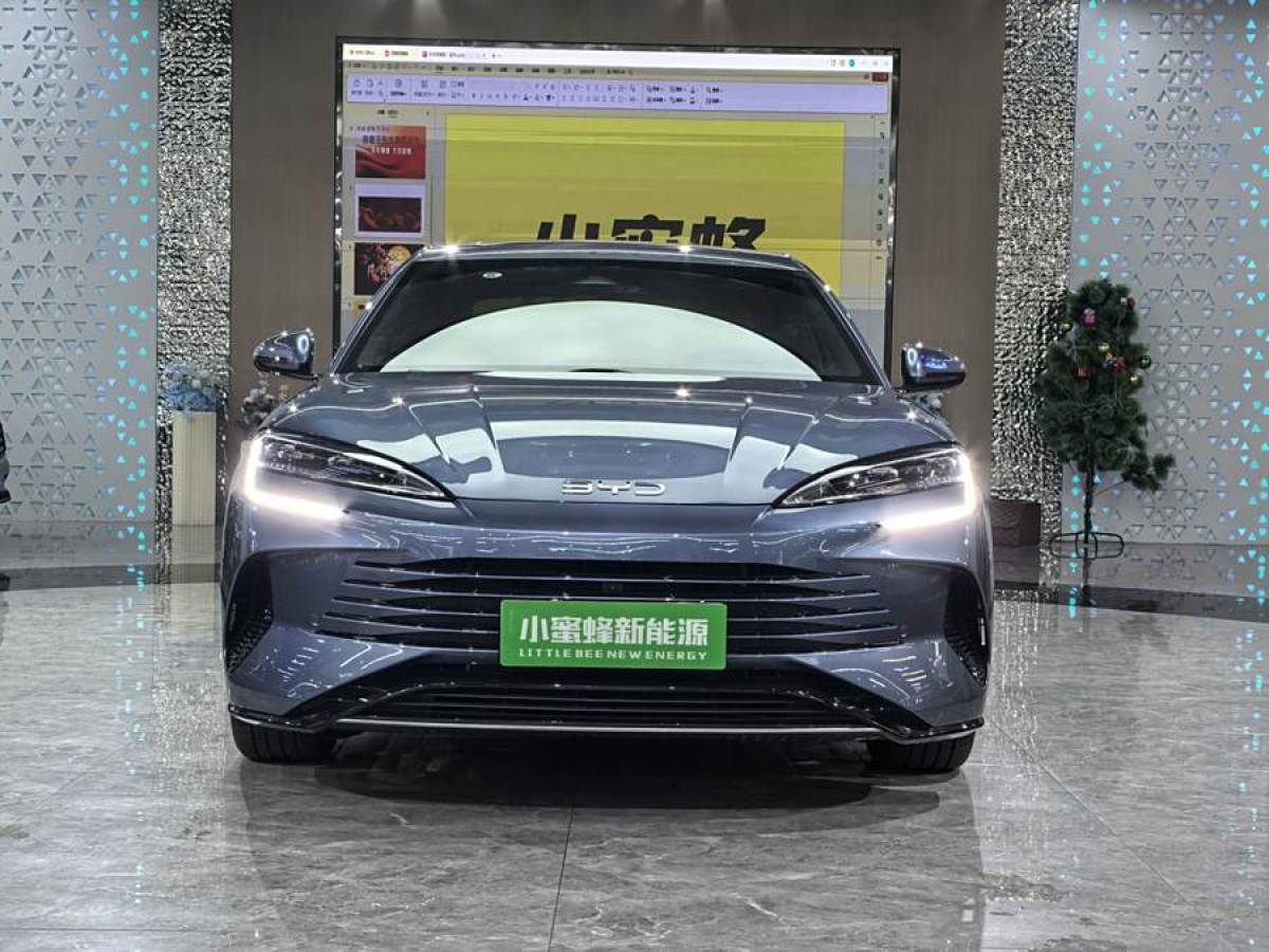 比亞迪 海豹  2023款 DM-i 1.5L 121km 尊貴型圖片