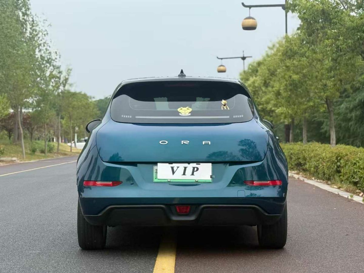 歐拉 歐拉好貓  2021款 400km標(biāo)準(zhǔn)續(xù)航 公務(wù)版 三元鋰圖片