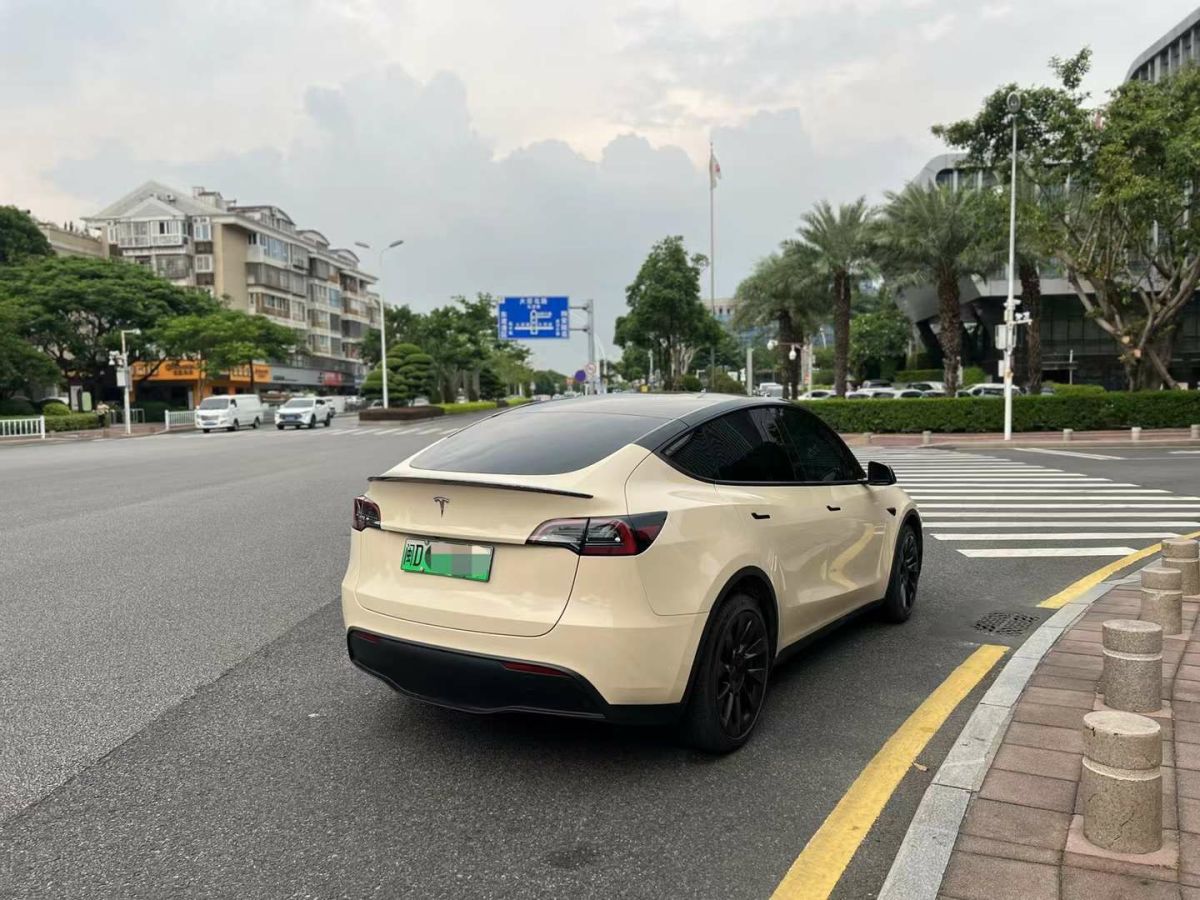 特斯拉 Model Y  2022款 Performance高性能全輪驅(qū)動(dòng)版圖片