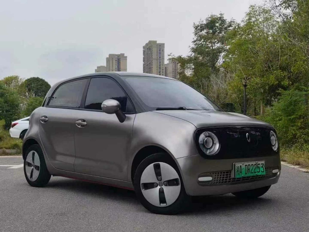 歐拉 歐拉白貓  2020款 360km 標(biāo)準(zhǔn)型圖片