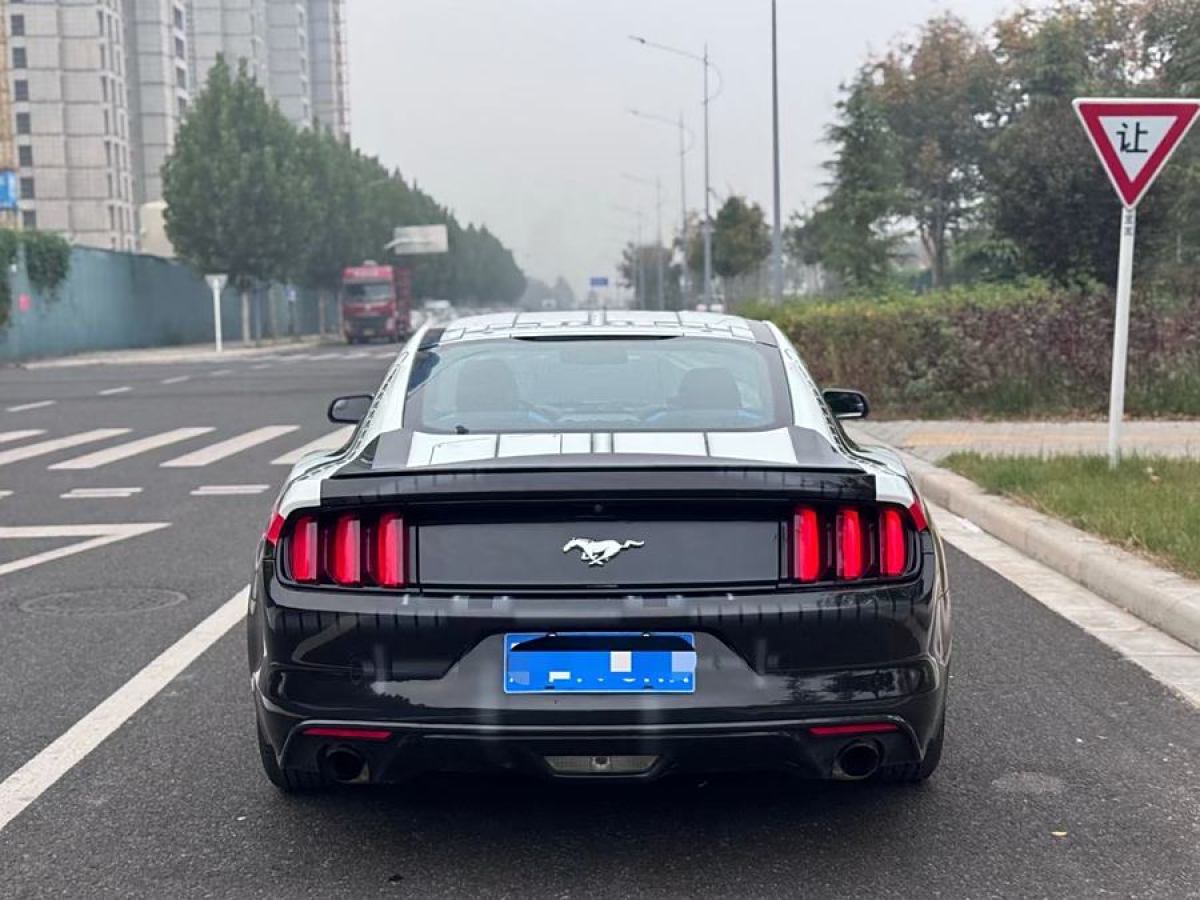 福特 Mustang  2016款 2.3T 性能版圖片