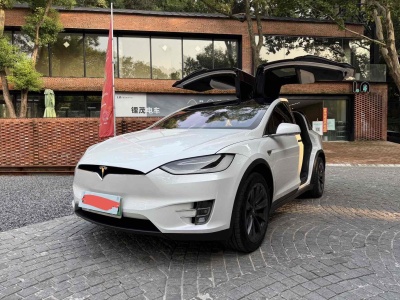 2019年7月 特斯拉 Model X Model X P100D Performance高性能版圖片