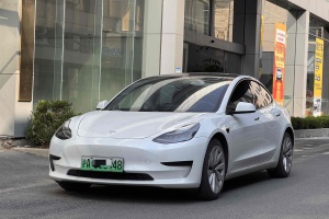 Model 3 特斯拉 標(biāo)準(zhǔn)續(xù)航后驅(qū)升級版 3D6