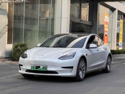 2021年3月 特斯拉 Model 3 標(biāo)準(zhǔn)續(xù)航后驅(qū)升級(jí)版 3D6圖片