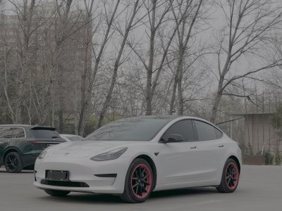 2021年1月 特斯拉 Model 3 標準續(xù)航后驅(qū)升級版圖片